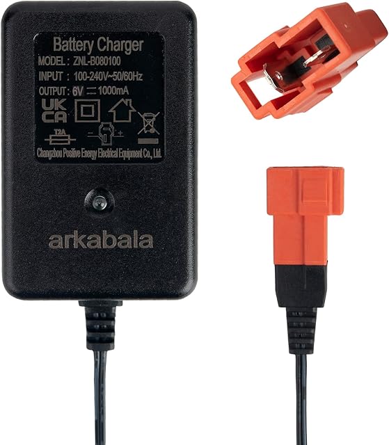 6V Charger for Kids Ride On Car, 6 Volt Battery Charger for Kid Trax Disney Frozen Mickey Minnie Mouse Racer Quad BMX X6 Audi R8 Wal-Mart Kid TRAX Moto ATV Quad