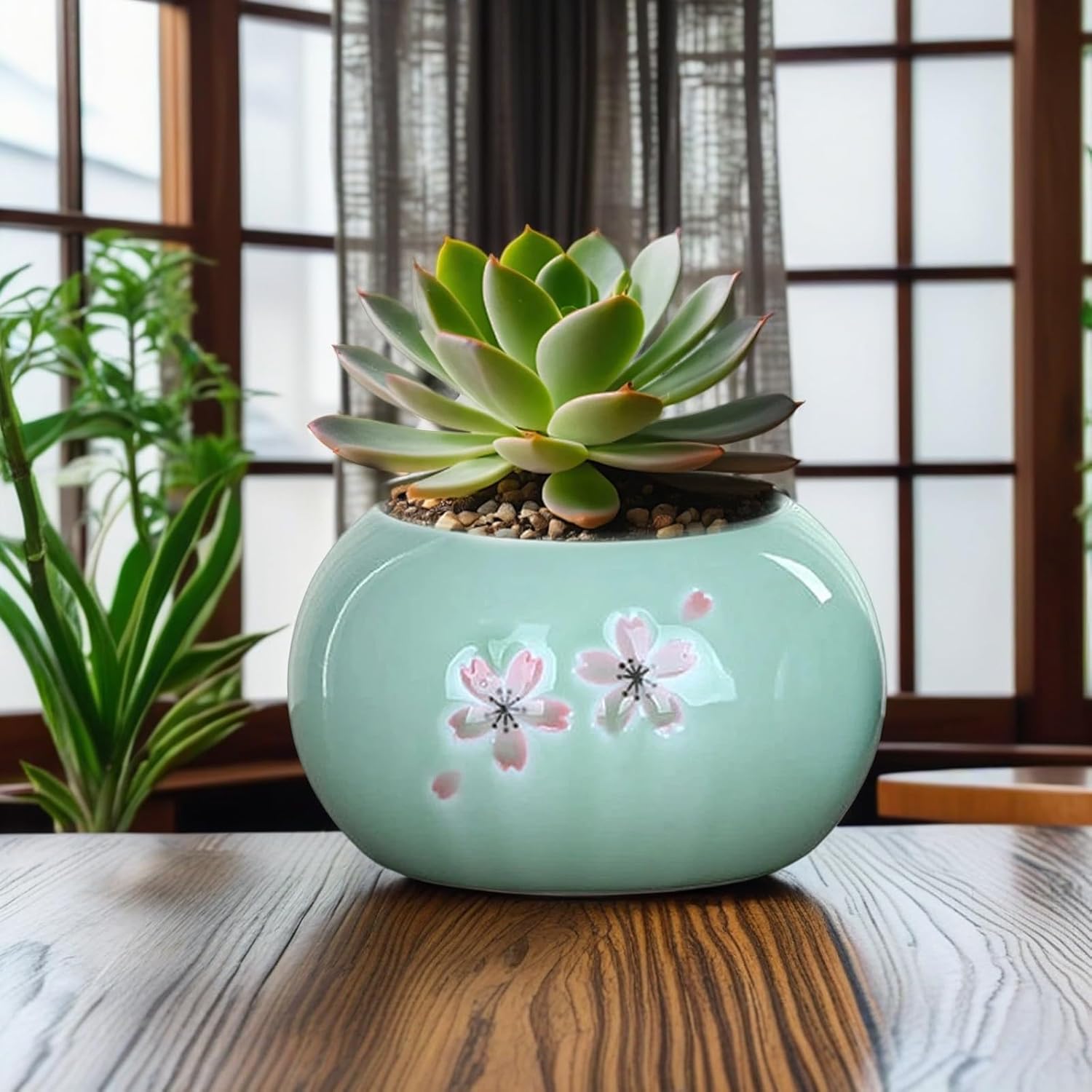 Lotus Bowl Planter, Lotus Bowls for Planting in Water Indoors, Bonsai Bowl Lotus Flower Seeds, Ceramic Planters for Indoor Plants, for Succulent Plants Leak-Proof Design (C*2)