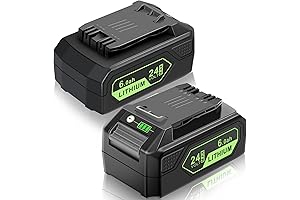 Greenworks 24 Volt 6.0Ah Battery 2-Pack for Lawn Mower Trimmer Weed Blower