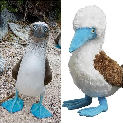 BRALF 10 inch(25cm) BlueFooted Booby Plush Toy, Seagull