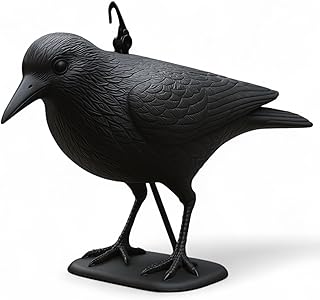 MIJOMA Ahuyentador de pájaros, cuervo sentado, ahuyentador de palomas, ahuyentador de pájaros, de plástico resistente a la intemperie, color negro