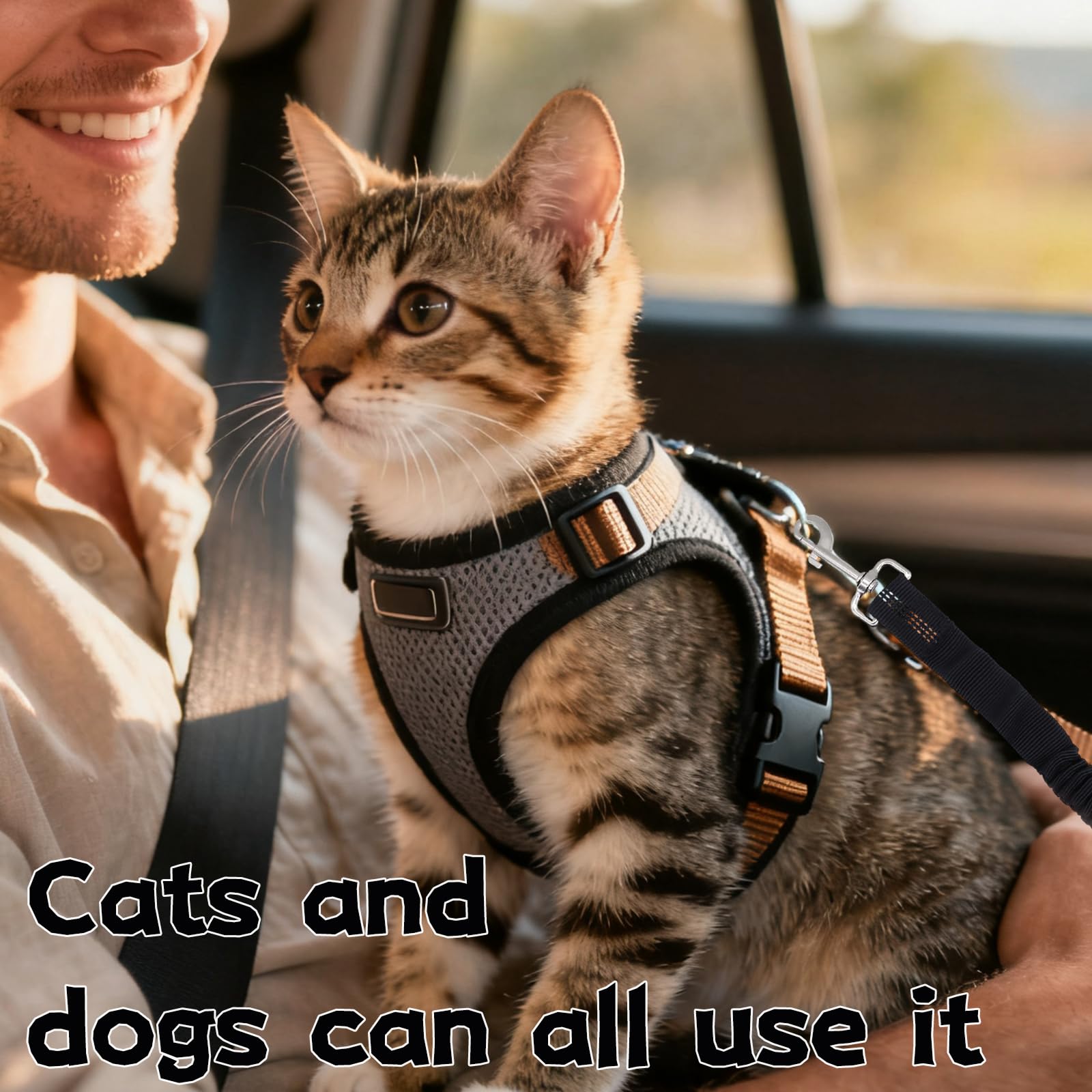 Sangle de Sécurité pour Chien avec Amortisseur Élastique, Mousqueton Solide et Longueur Réglable, Compatible avec Toutes Les Voitures pour Chien et Chat, pour Un Voyage Sûr
