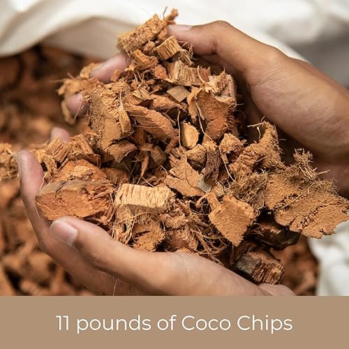 Miniatura 4 de Southside Plants Coco Chip - Sustrato de coco mediano para tierra para macetas de jardín, 100% orgánico y ecológico, ladrillo de 11 libras para