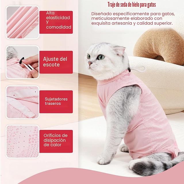Foto 4 de 8 de Ziyonix 2 Piezas Traje de Recuperación de Gat, Dody Gatos Postoperatorio Hembra
