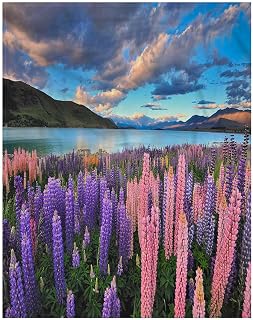 Plush Throw Blanket Soft Fuzzy Flannel Blanket Lupines On The Shore of Lake Tekapo Soft Lightweight Cozy All Season Blanket for Bed,Couch,Car 60x80 Inch