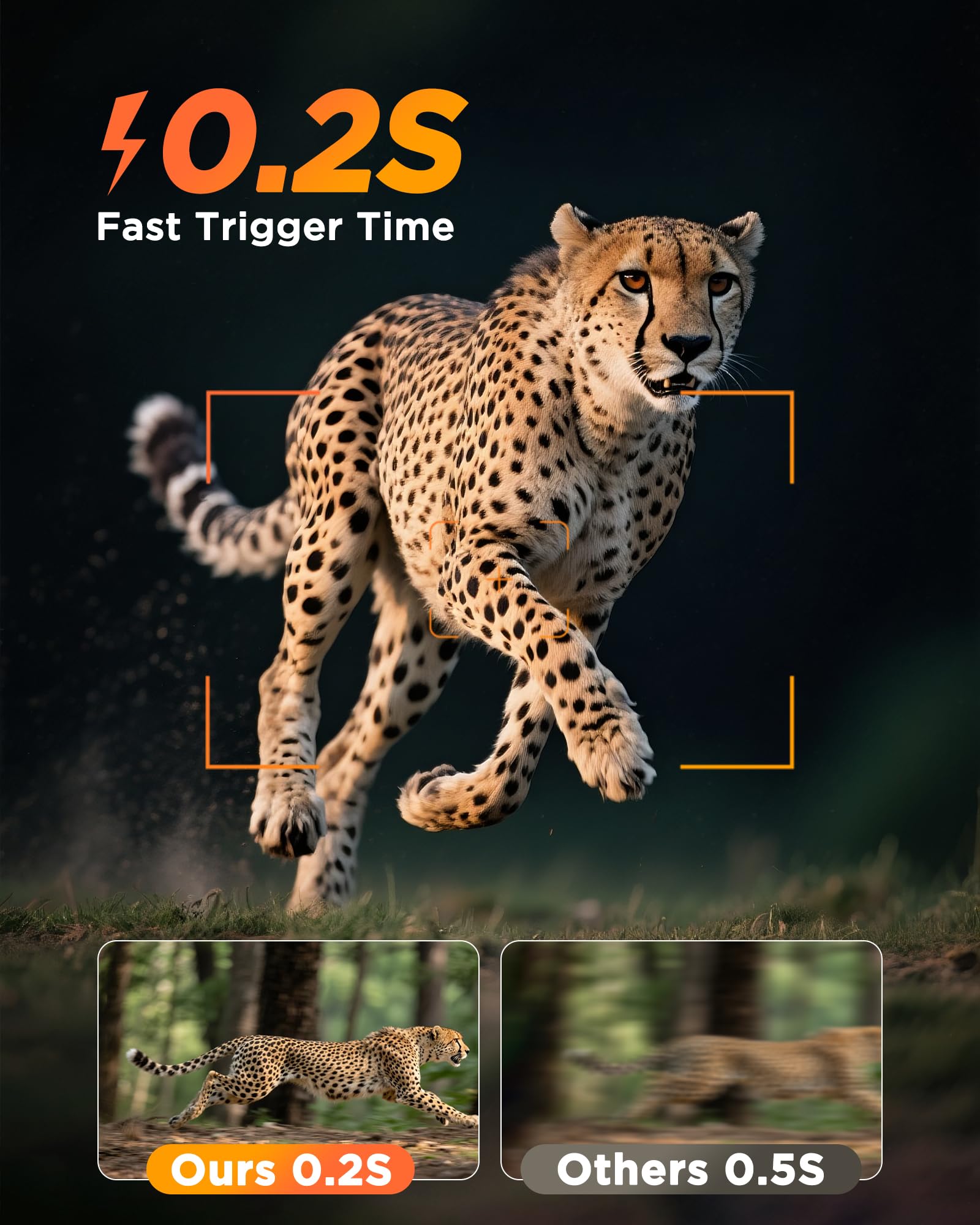 BECAMSO 4G LTE Camara Fototrampeo Solar: 2.7K HD Cámara de Caza Vigilancia Exterior - Color Visión Nocturna Trampa Cámaras con Tarjeta SIM 8000 mAh Batería IP66 Impermeable
