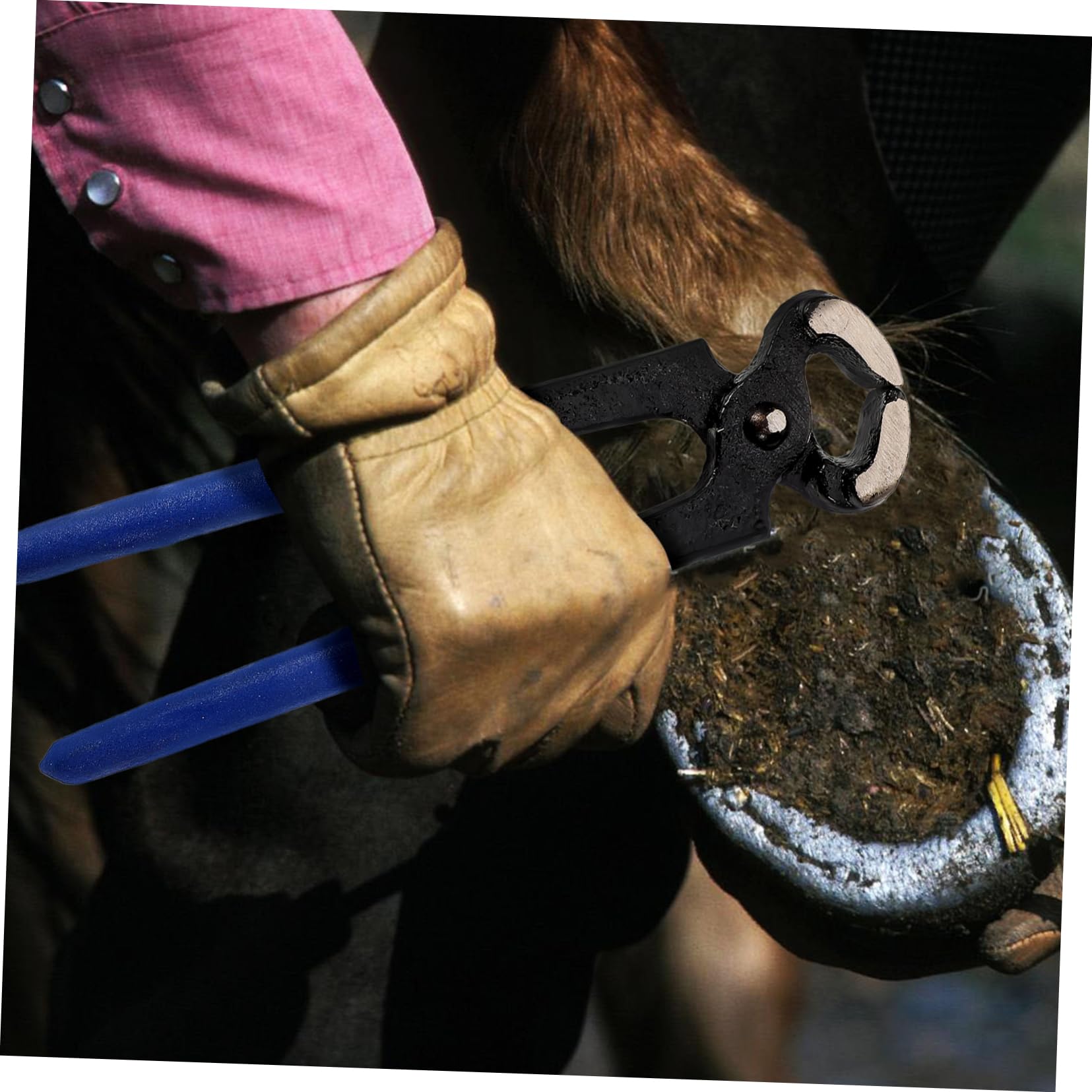 Hohopeti Hoof Trimming Pliers Horseshoe Cutting Tool Horse Hoof Cutter Cattle Sheep Goat Trimming Tool