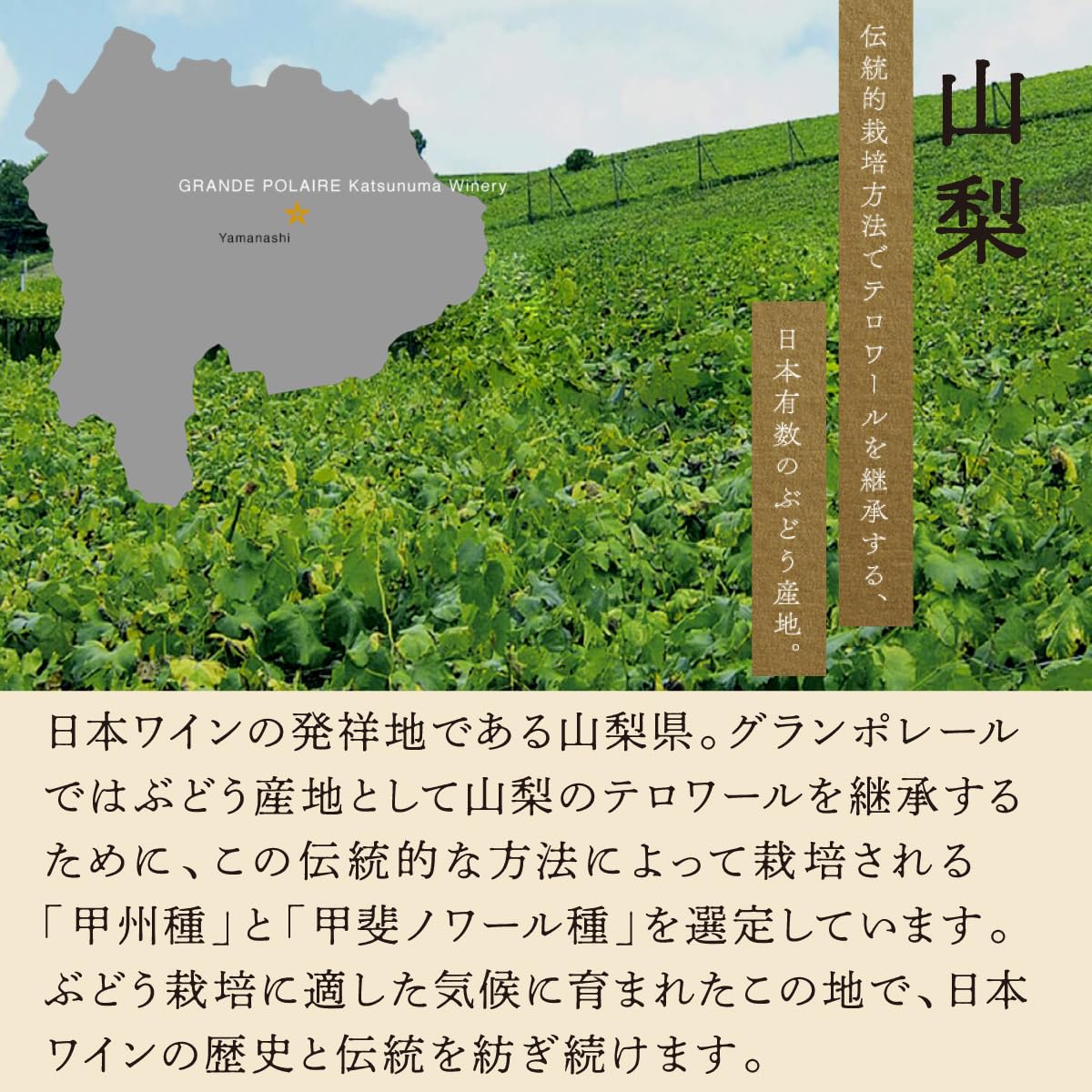 Amazon.co.jp: グランポレール オリジナルギフト赤白2本セット 山梨