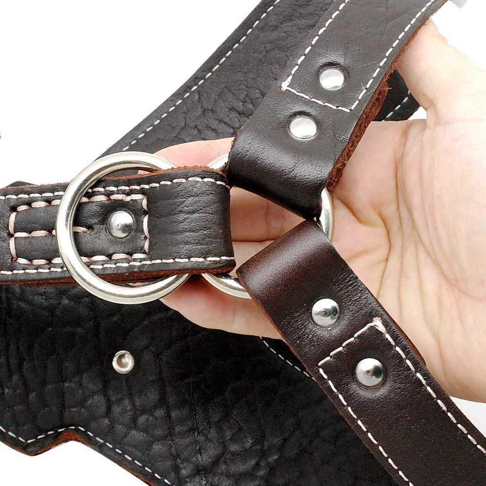 Harnais réglable Mc Leather 20mm noir