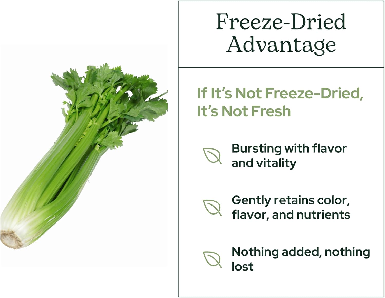 Eclectic Herb - Celery Juice Powder | Nutrital Supplement | Hydrat +