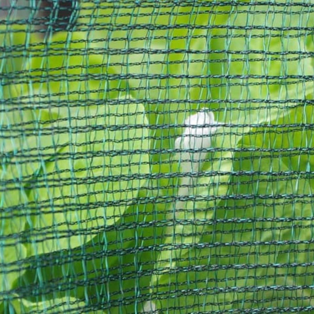 Rete Antigrandine Verde T-REX – Doppia Trama Indemagliabile, Protezione UV, Maglia 5x8 mm, 32 g/m² – Ideale per Orto e Coltivazioni (10m x 4m)
