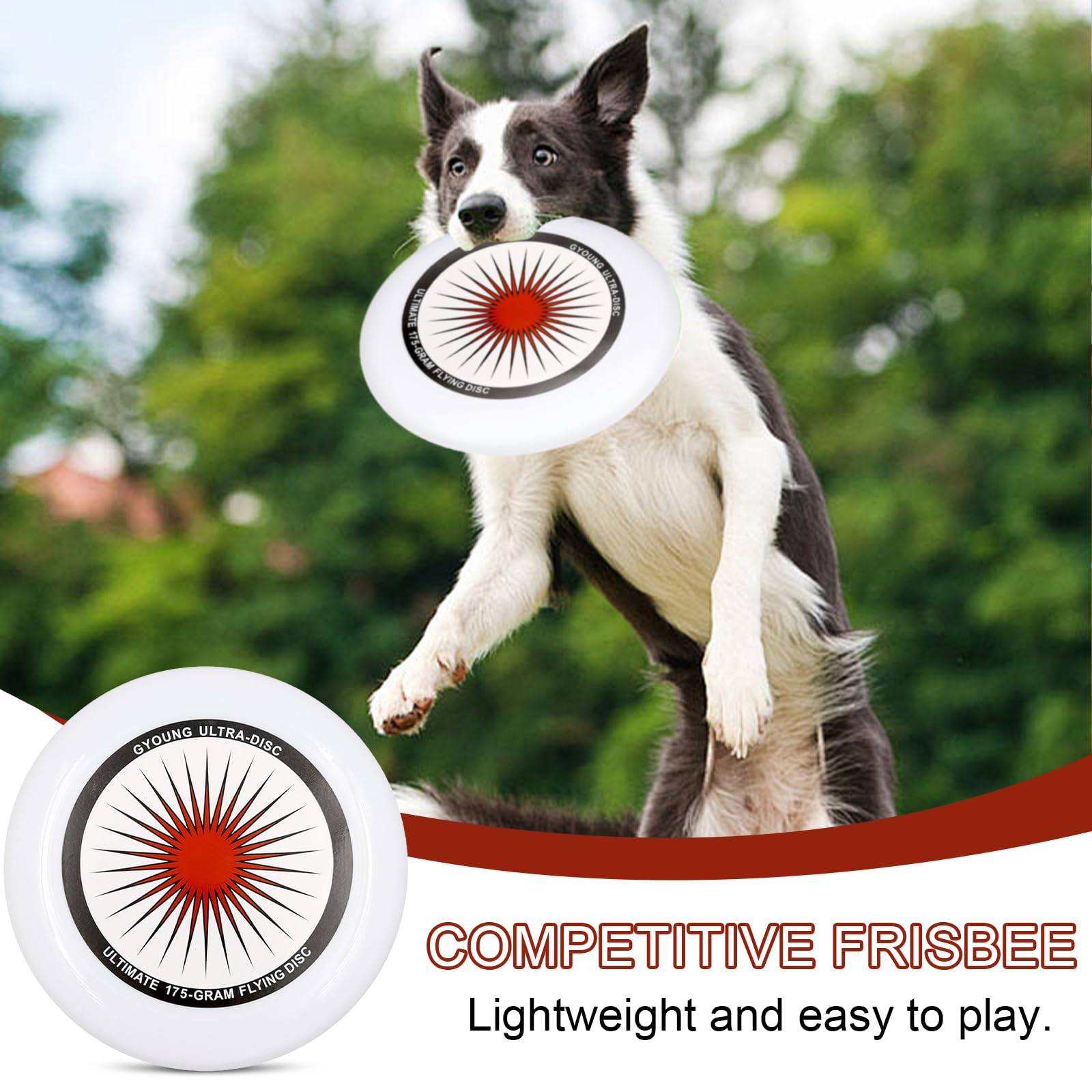 Frisbee competitivo 175g Ultimate professionale all'aperto con borsa di stoccaggio