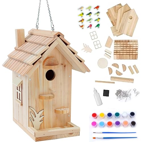 DIY Birdhouse Building Kit for Adults, Wooden Bird Houses to Paint for Kids, Outdoor Woodworking Kits Adult Crafts for Outside(Wood, 6.5in)