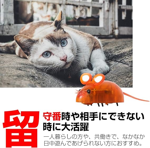 Amazon フェリモア 猫用 おもちゃ 電動 ネズミ マウス ロボット 鼠 ペット玩具 運動不足 ネコ レール 2点セット フェリモア ネズミ ぬいぐるみ 通販