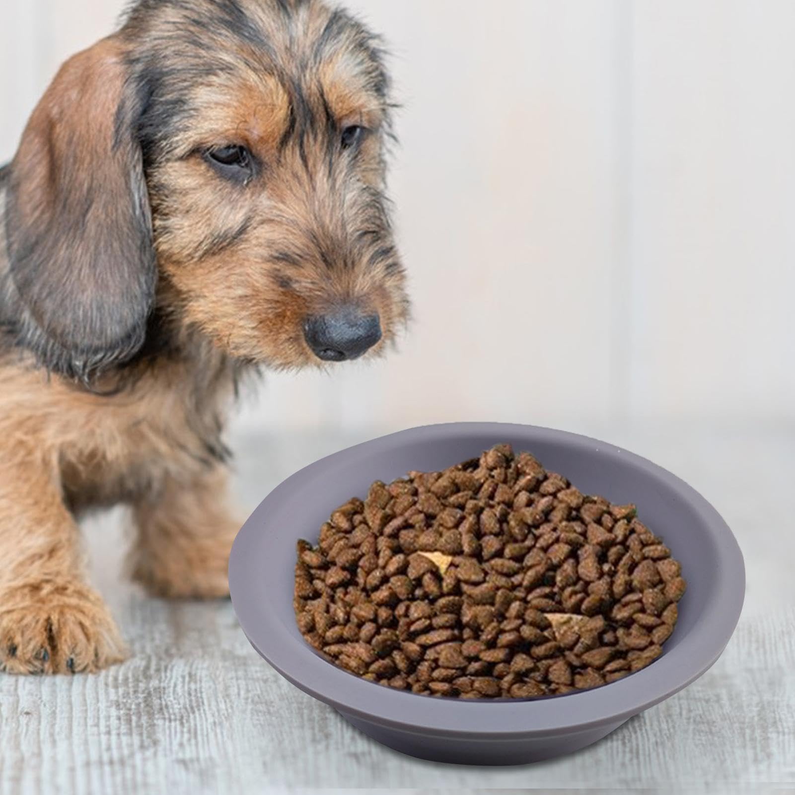 Mangiatoia per cani, per gatti con alimentazione lenta | Simpatico