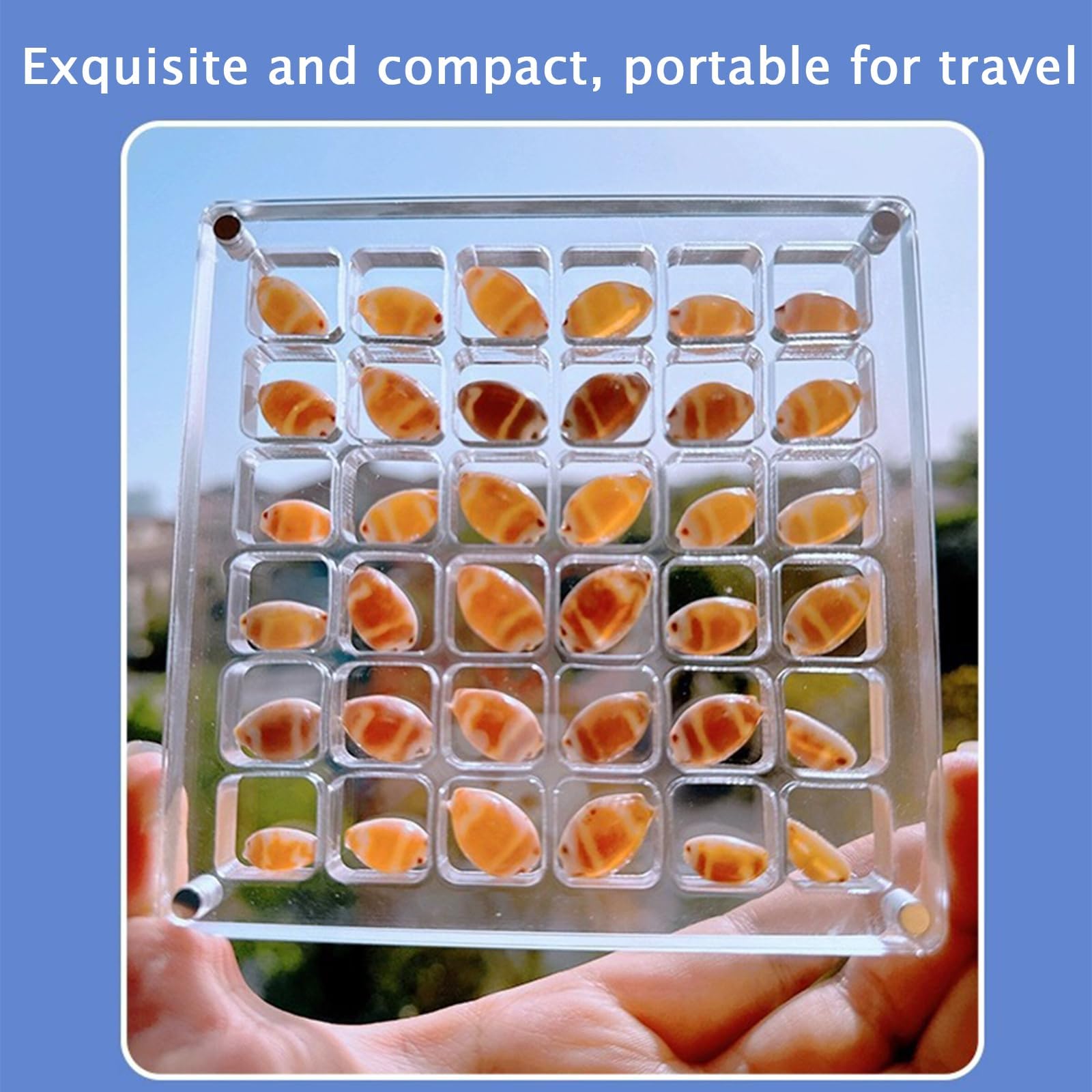 Acryl Magnetische Zeeschelp Display Box, Transparante Acryl Zeeschelp Acryl Magnetische Zeeschelp Display Box, Transparante Acryl Zeeschelp