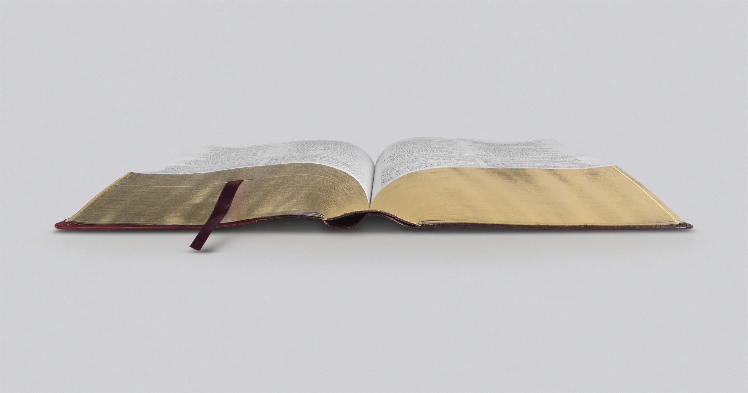 Holy Bible: English Standard Version, Trutone, Burgundy/Red, Timeless Design, Study