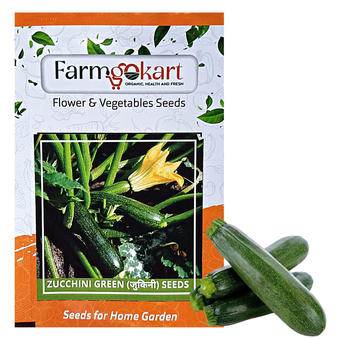 Farmgokart |Pack of 15 Nos | ZUCCHINI -GREEN -SUMMER SQUASH SEED| Best Suitable For Terrace And Home Gardening |Quality Exotic vegetable Seeds| (B09QQC1LYP) Amazon Price History, Amazon Price Tracker