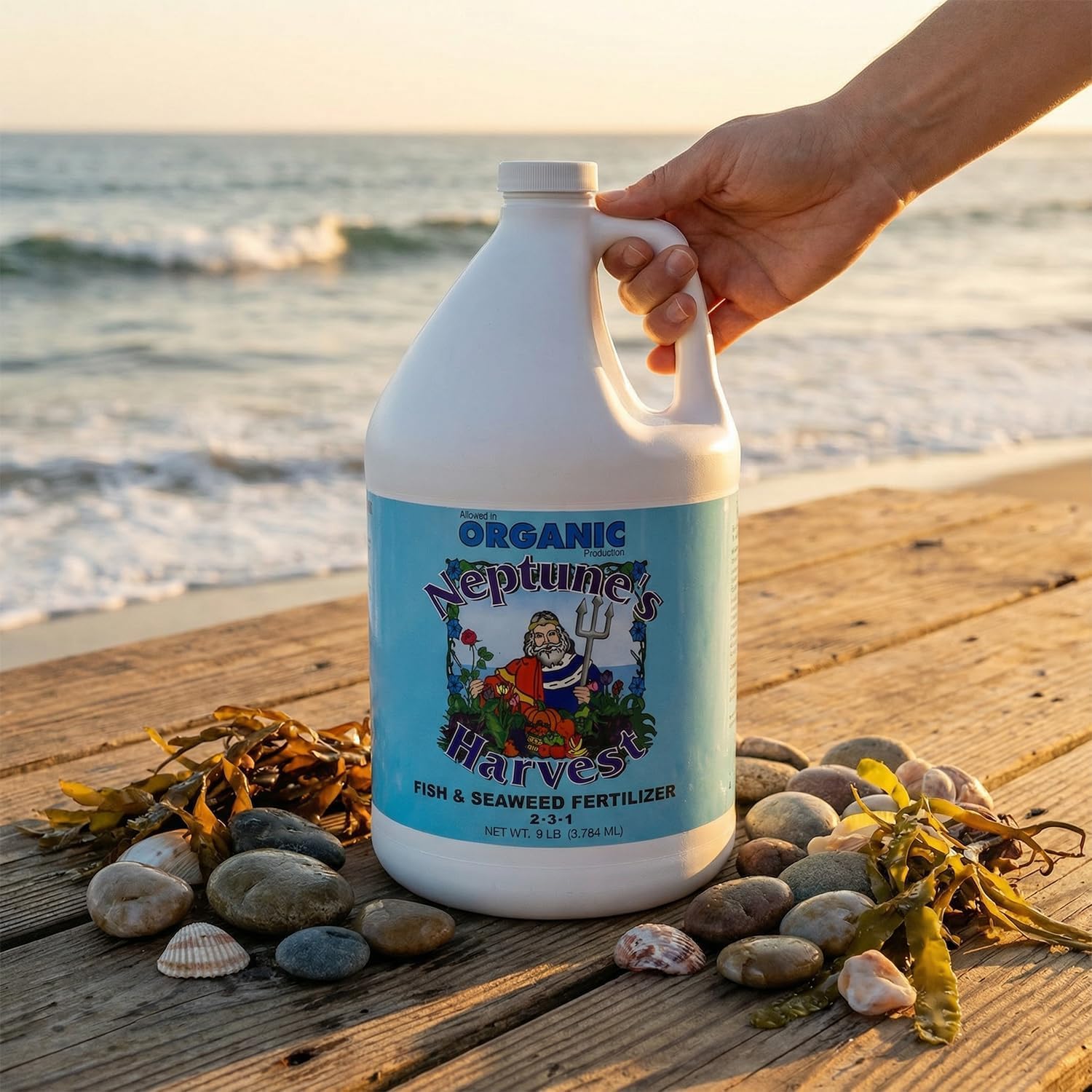 Neptune's Harvest Fish & Seaweed Liquid Fertilizer (2-3-1) - 1 Gallon Bottle - Plant Food for Garden - Indoor & Outdoor Organic Plant Fertilizer for Vegetables, Flowers, Fruit, and Lawns