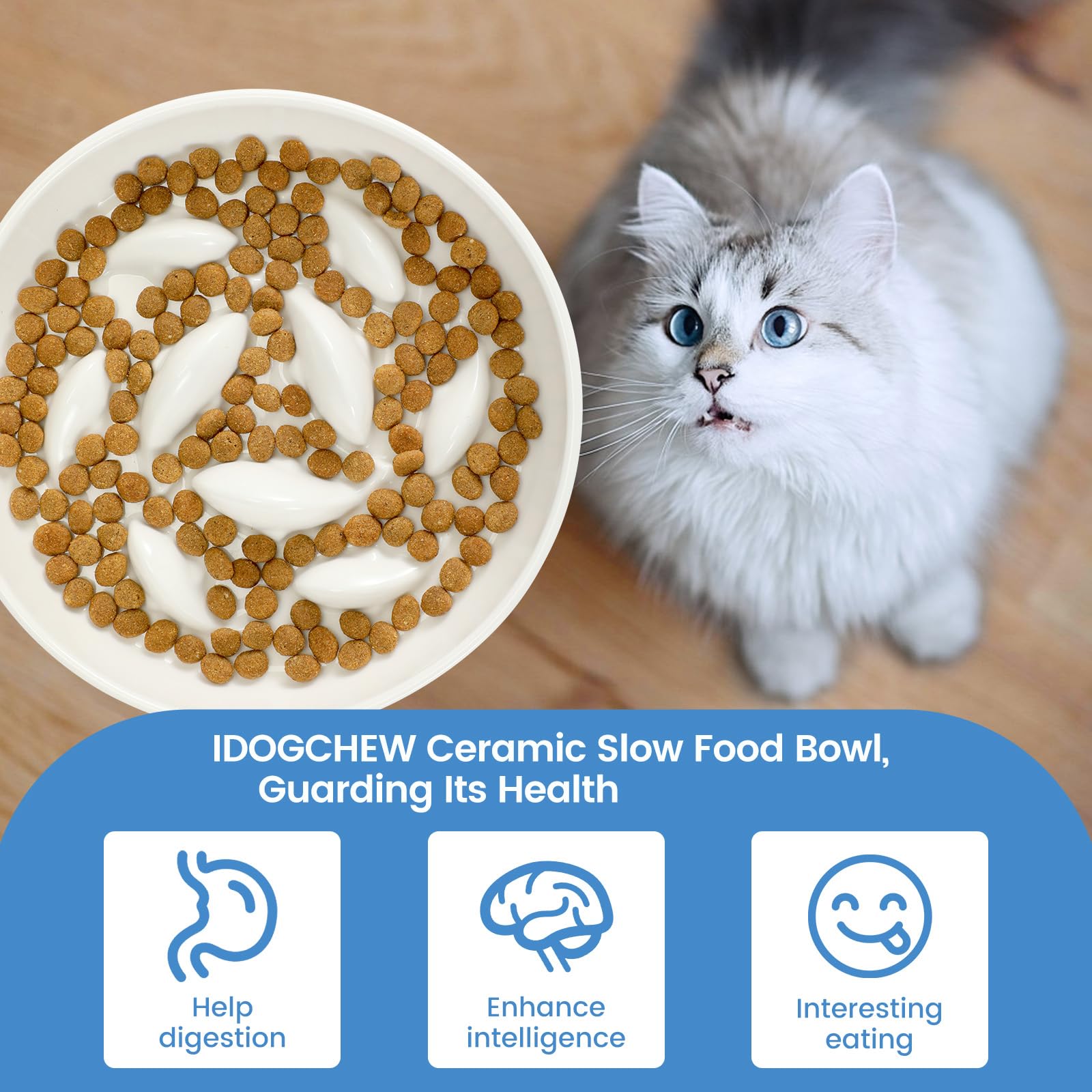 Comedero Lento de Cerámica para Gatos – Cuenco Elevado Antivómitos (8 cm), Diseño Interactivo para Comer Más Despacio, Fácil de Limpiar y con Borde Antiderrames