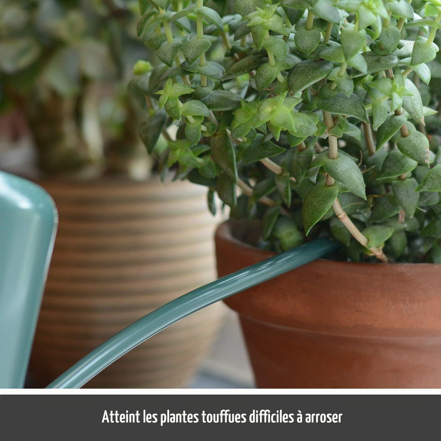 CKB LTD Petit arrosoir d'intérieur de 1,1L en acier galvanisé avec revêtement en poudre de couleur craie, pour plantes d'intérieur design contemporain en métal avec bec étroit et poignée haute (vert)