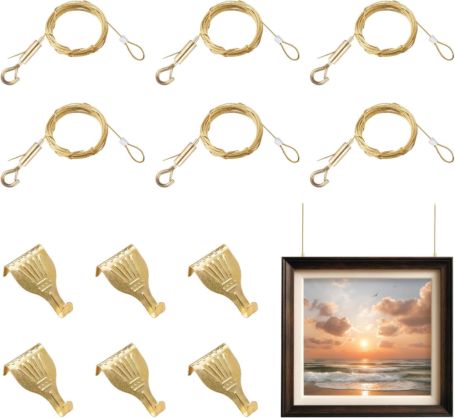6 Set Picture Rail Hanging System, Including Brass Wire, Metal Rail Hook, Wire Rope Clip, and Adjustable Hook, Art Picture Display Hanging Hardware (1M, Gold)