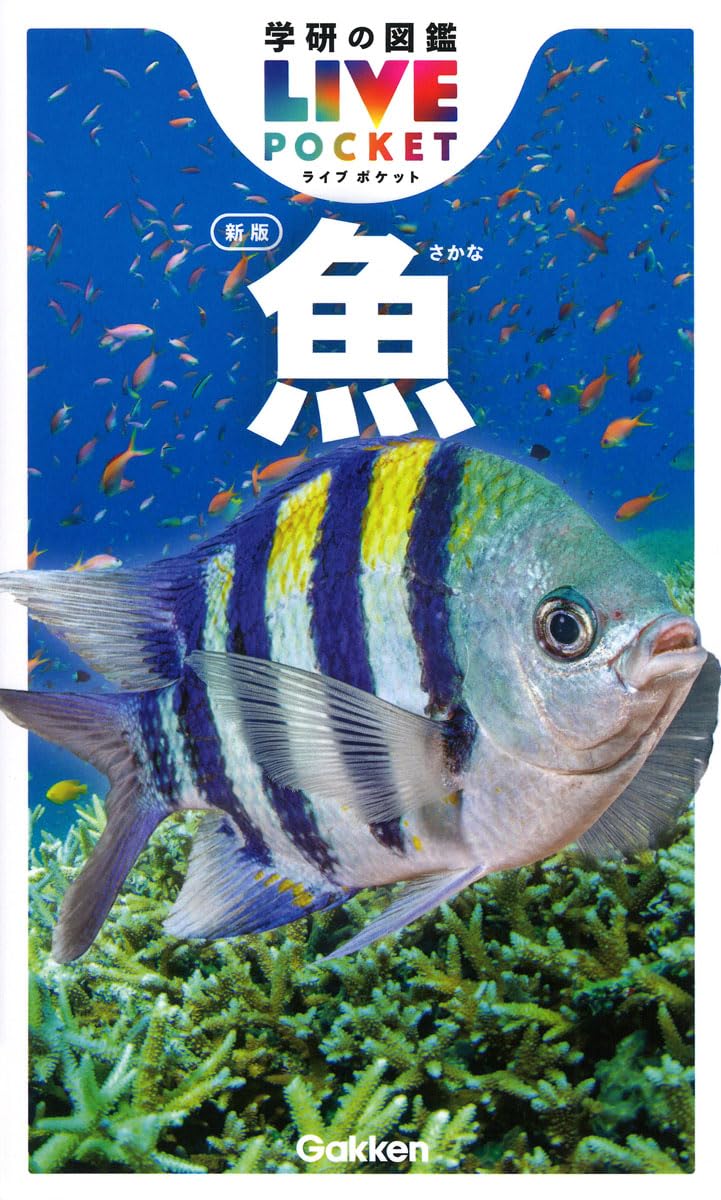 魚 新版 (学研の図鑑LIVEポケット 1) | 本村浩之(鹿児島大学総合研究