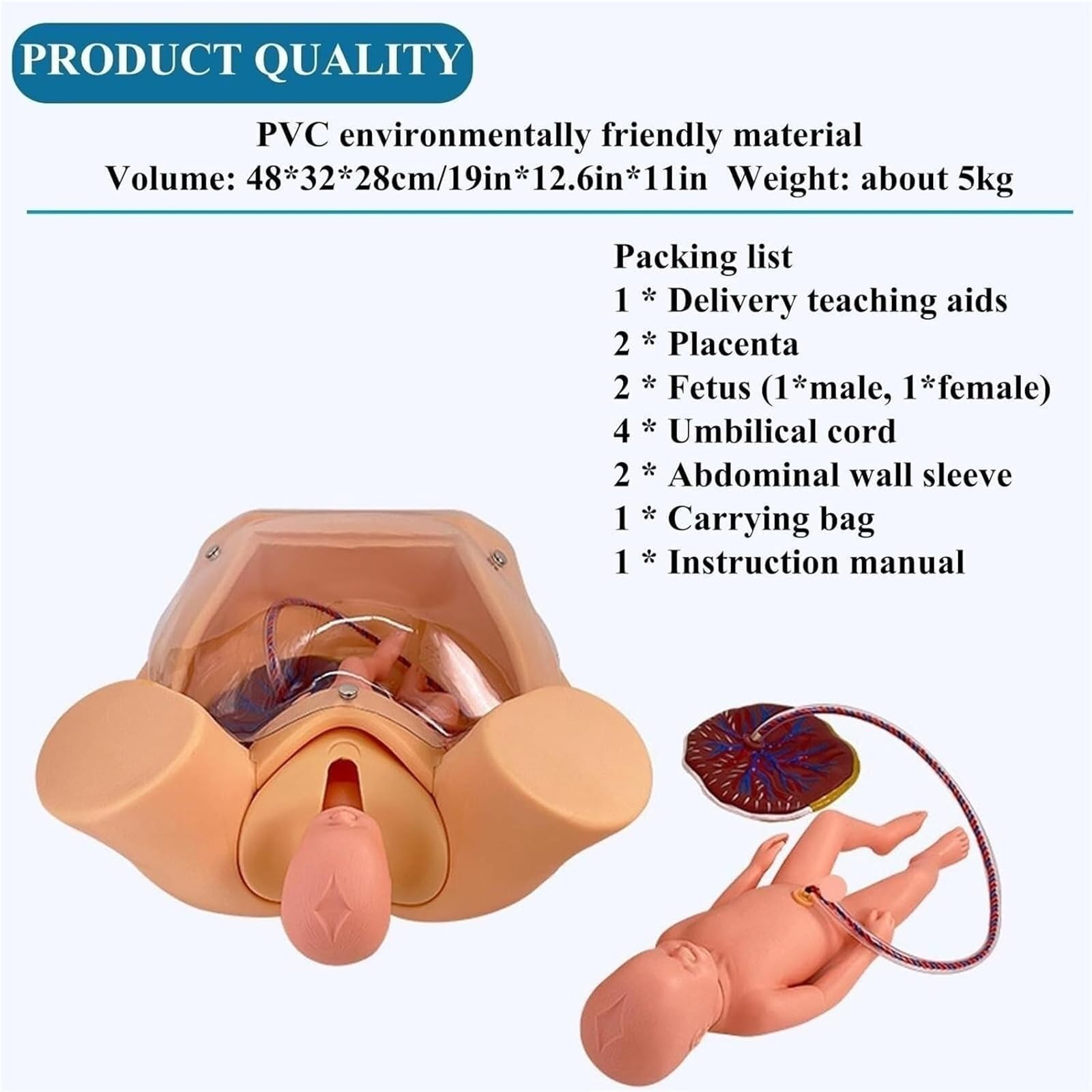 Manekin do symulacji porodu, model anatomiczny miednicy naturalnej wielkości, model edukacyjny dla porodu i macierzyństwa, do nauki nauki nauki