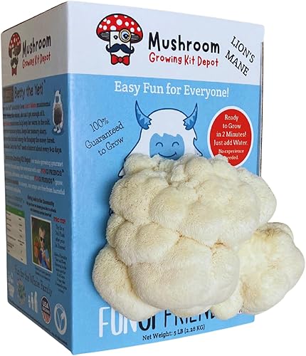 Miniatura 3 de Kit de cultivo de hongos melena de león (5 libras)  Betty The Yeti  Apto para principiantes y fácil de usar  Hecho a mano en Estados Unidos