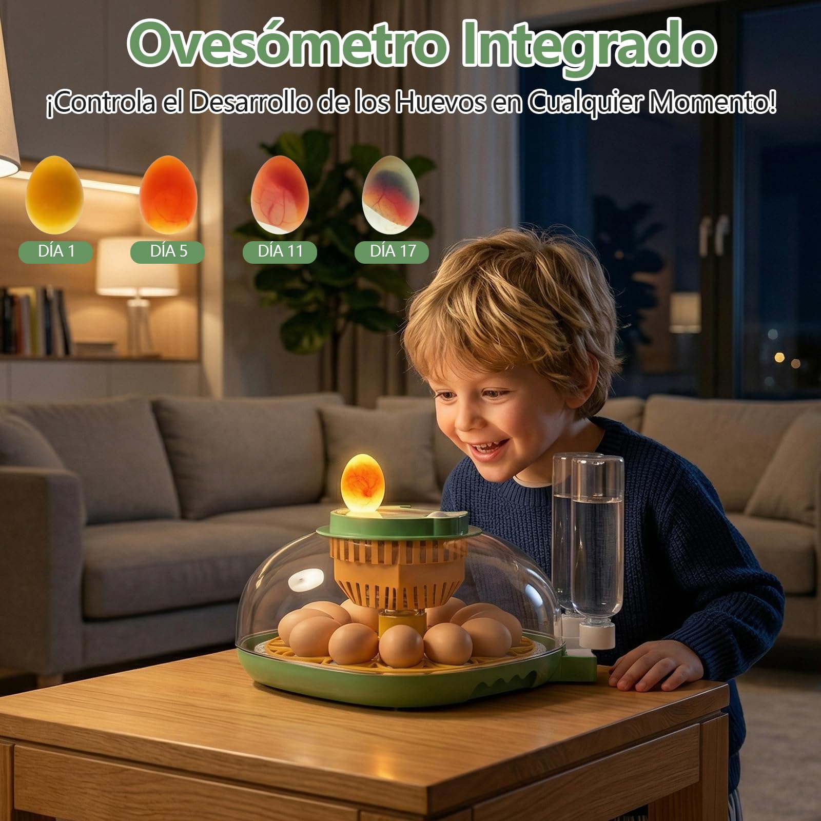 Incubadora Huevos Gallina, Diealles Shine Incubadoras de Huevos Automaticas de 12 Huevos con Volteo Automático de Huevos y Humidificación Automática, Incubadoras con Indicador de Humedad y Temperatura