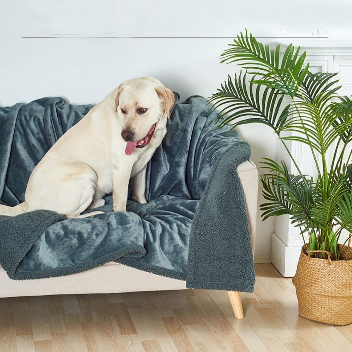 Manta De Amantes Impermeable,Manta De Chorro para Cama Lavable,Manta De Lana para Protector De Muebles De Cama,Manta De Mascota A Prueba De Agua para Perro Gato