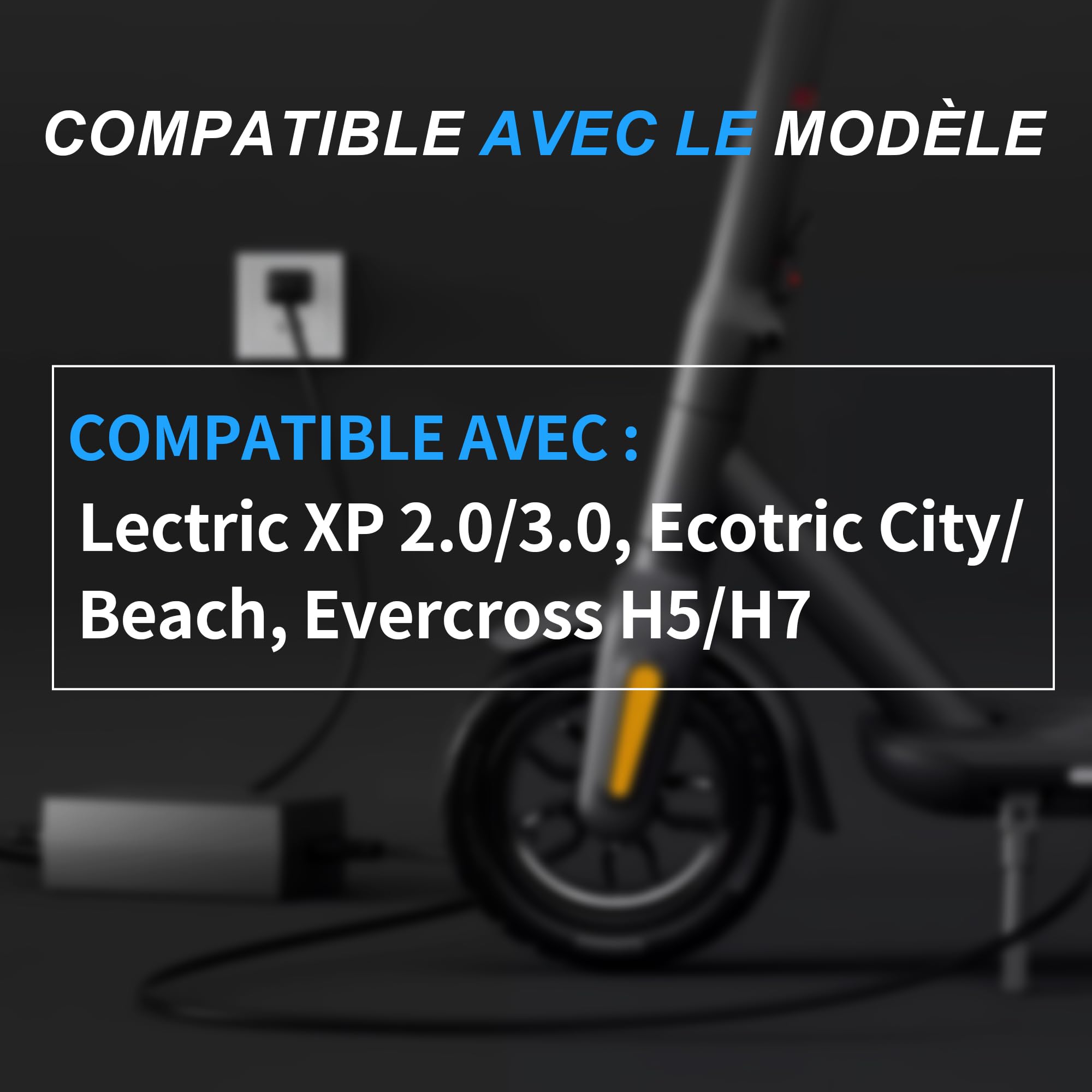 Chargeur 42V 5A pour Batterie Lithium 36V de vélo électrique | Écran indicateur de tension, ventilateur intégré, connecteurs DC 5,5x2,5/2,1mm et RCA 8mm inclus