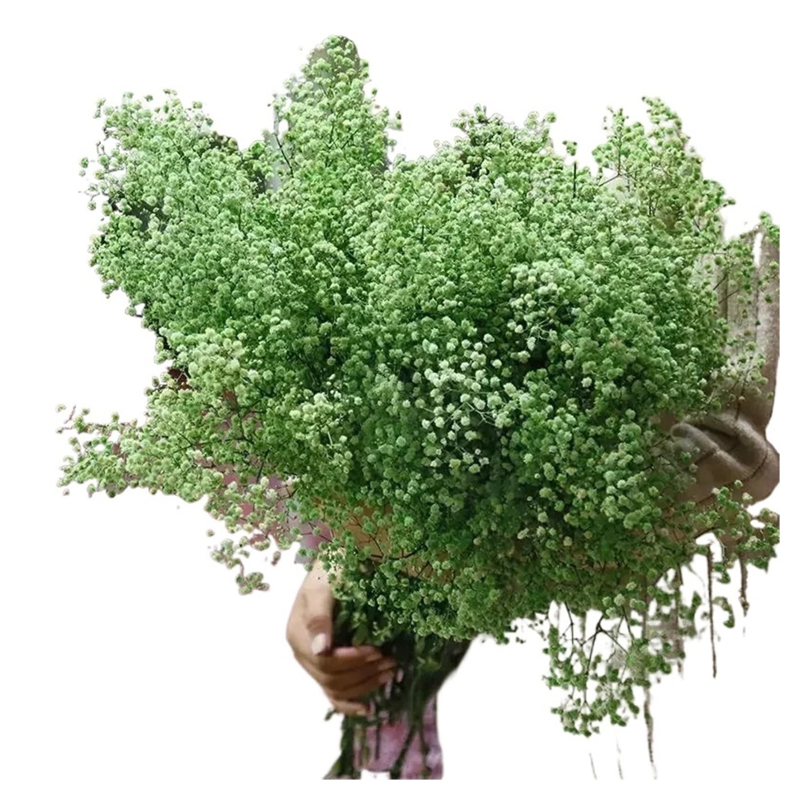 WJIAYAO dried gypsophila flowers 110g Gypsophila Dried Flowers Home Decor Artificial Flower Baby Breath Wedding Head Table Bride Bouquet(Green)