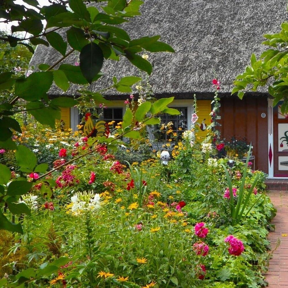 Englischer Cottage-Garten Blumenmischung | 250 g - 125 m2 | Blumenwiese samen einjährig und mehrjährig | 40 Wildblumenarten | Wuchshöhe: 15 bis 150 cm | Wildblumen-Samen für Bienen und Hummeln