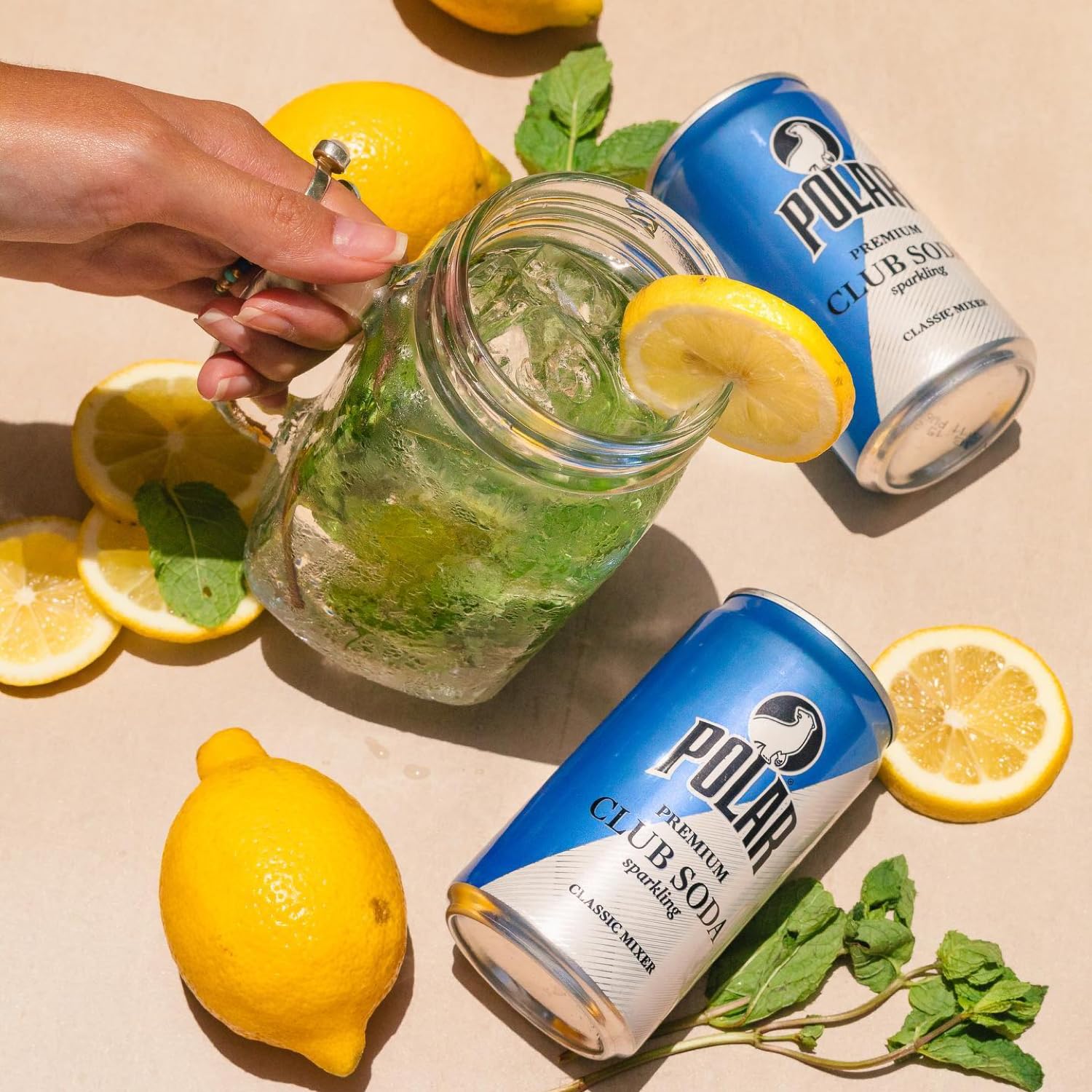 LastFuel. POLAR Club Soda - 24pk 7.5oz Cans | Crisp Refreshment, Perfect Mixer | Ideal for Cocktails and Mocktails