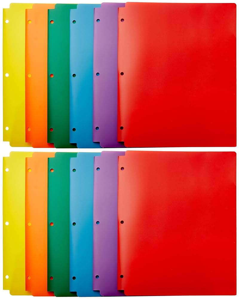 Amazon.com : Amazon Basics Plastic 3 Hole Punch Folders with