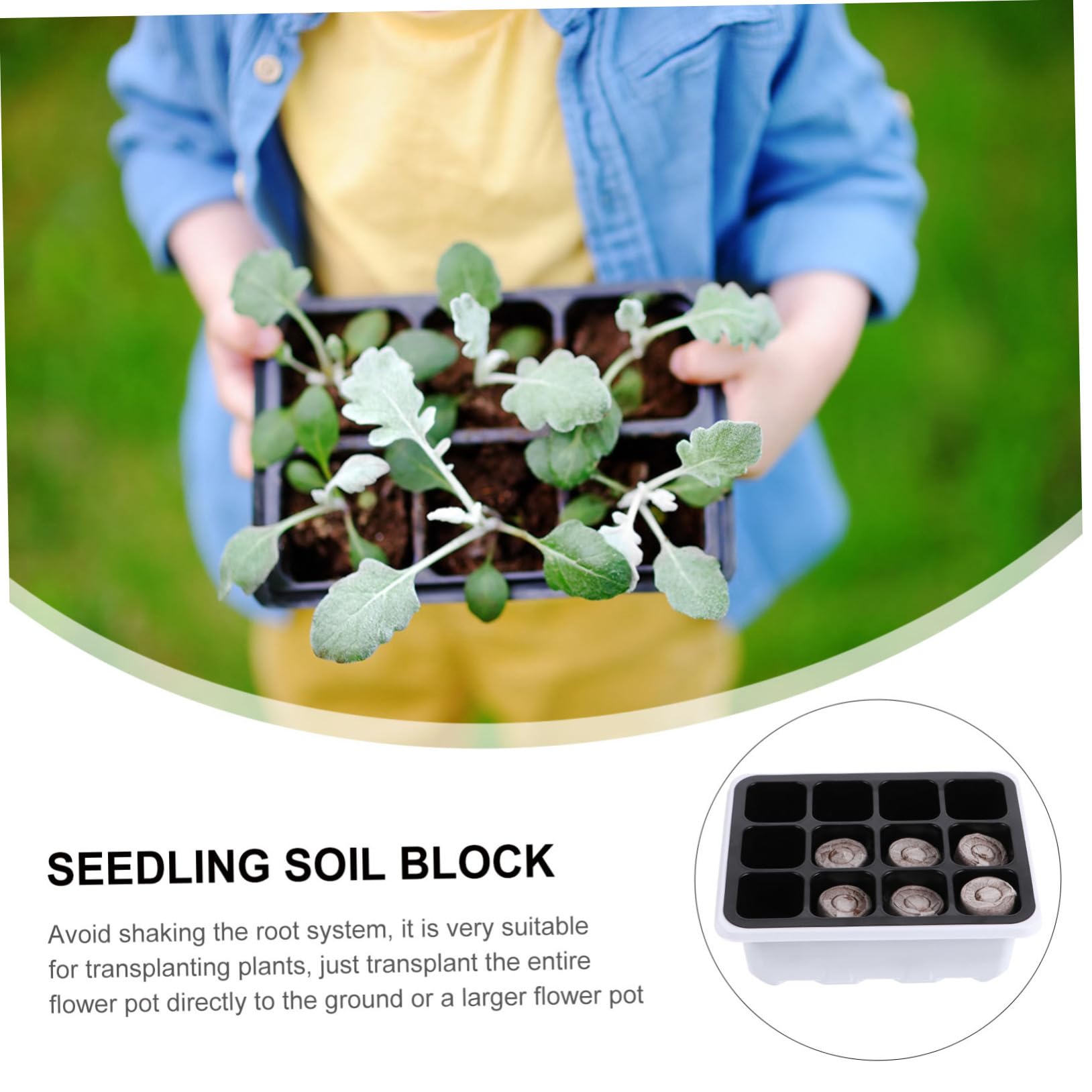 TOYANDONA 2 Set Vassoi per Germinazione per Giardinaggio E Serra Strumenti per Piantine E Semina Adatti 12 Pezzi*2
