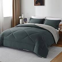 beeweed Double Duvet Cover for 4 Seasons 220 x 240 cm, Reversible Autumn Winter Duvet 220 x 240 cm – Quilt Blanket 240 x 220 cm Synthetic Microfibre 300 GSM Oeko-Tex with 2 Pillowcases