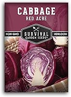 Red Acre Heirloom Cabbage Seeds - Compact Purple Heads, Early 75-90 Day Harvest, Non-GMO Open-Pollinated Survival Garden Seeds