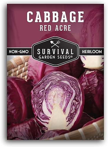 Miniatura 10 de Paquete de 2 semillas de col de acre rojo para plantar, paquete con instrucciones para cultivar repollos morados en el huerto de tu hogar, variedad