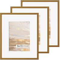 Vista 496 de Fun Memories Portarretratos de metal de 16 x 20 pulgadas con paspartú de 11 x 14 pulgadas, acabado de aluminio cepillado, parte delantera de vidrio