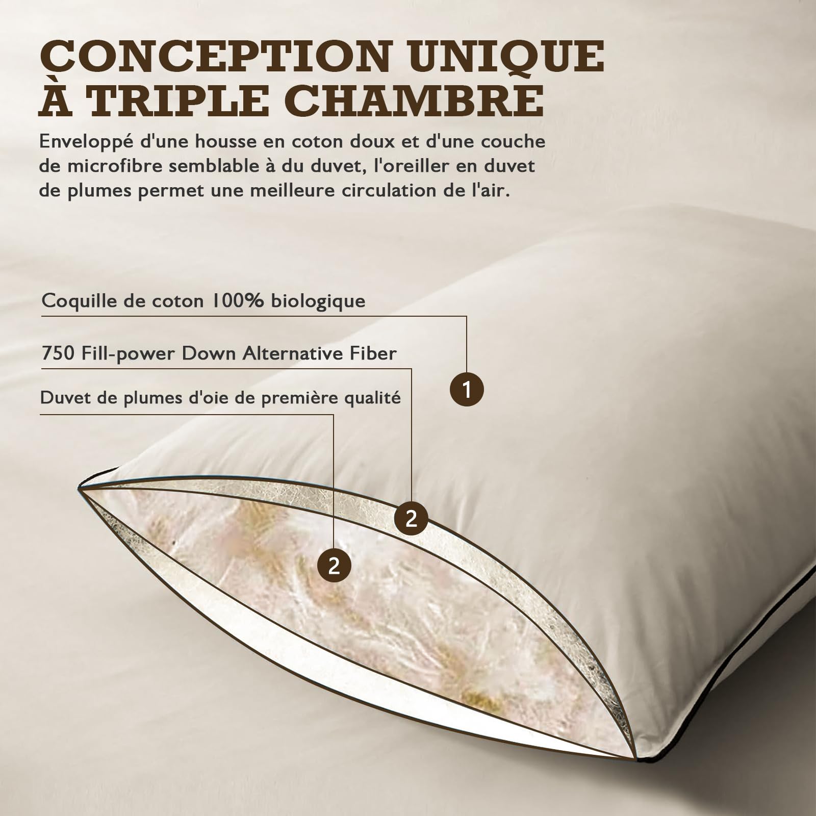 BPC Duvet de Plumes Bio Oreiller 60x60 Lot de 2, Oreiller d'hôtel Luxueux à 3 Chambres, Oreiller 60x60 cm Duvet avec Housse 100% Coton et garnissage en Plumes d'oie, Blanc