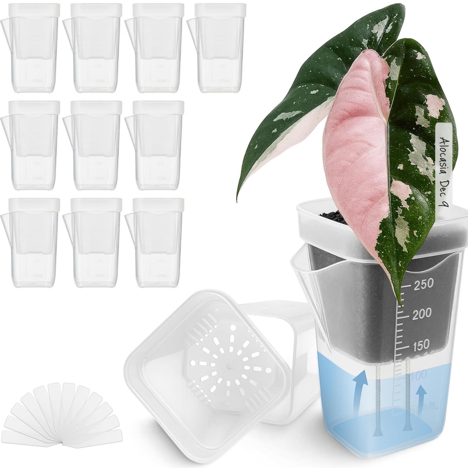 Pots à arrosage automatique de 2 pouces pour reverdir votre bureau avec de belles plantes
