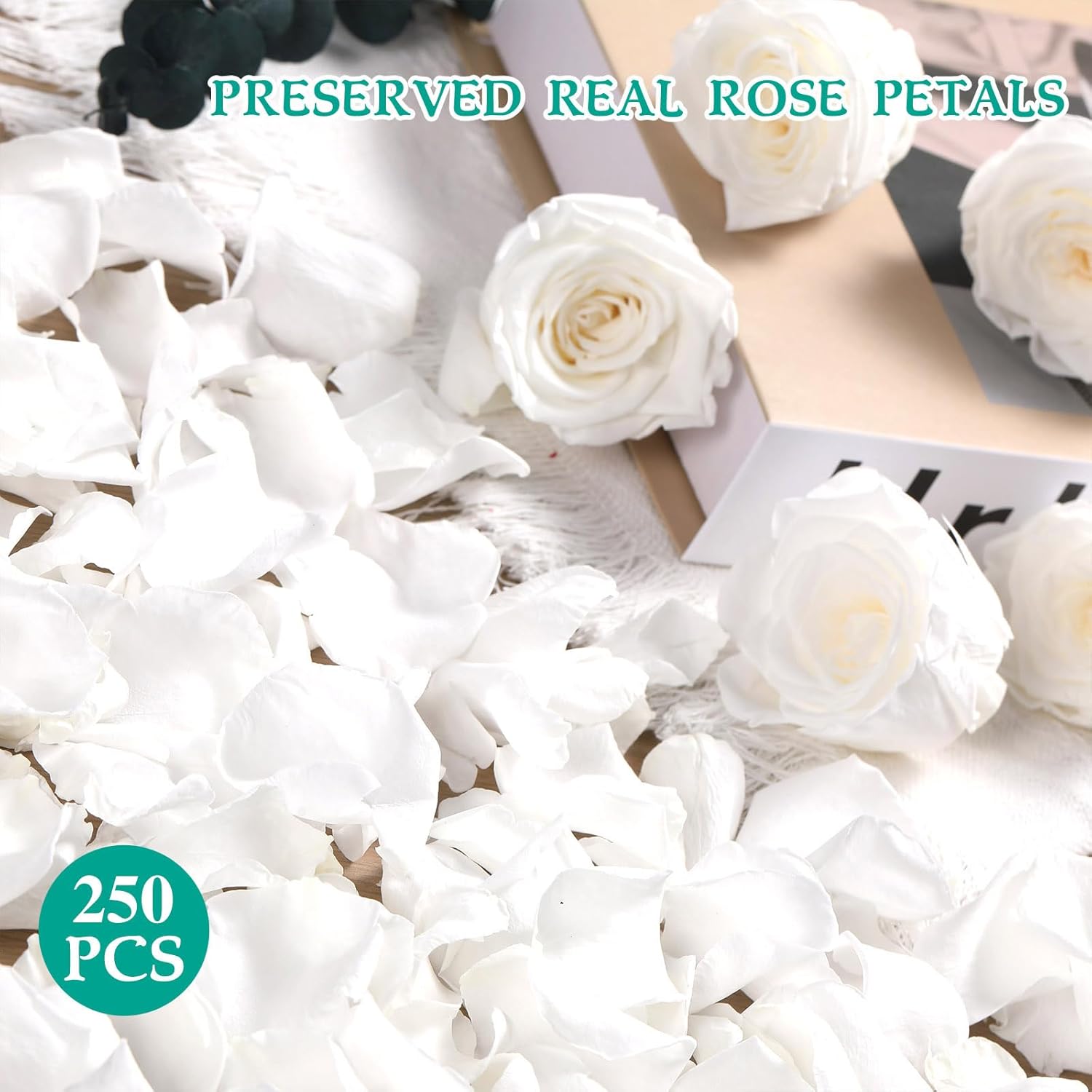 Dried Real Rose Petals, Natural Preserved Dry Flower Petals for Wedding Party Dinner Table Decor, Romantic Night for Her Set, Engagement, Bridal Shower, Valentine's Day, Confetti (3oz, White)