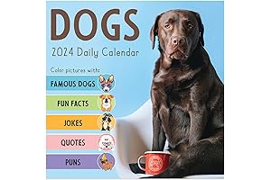 TF PUBLISHING 2024 Dog A Day Daily Desktop Calendar: Elevate Your Daily Routine!