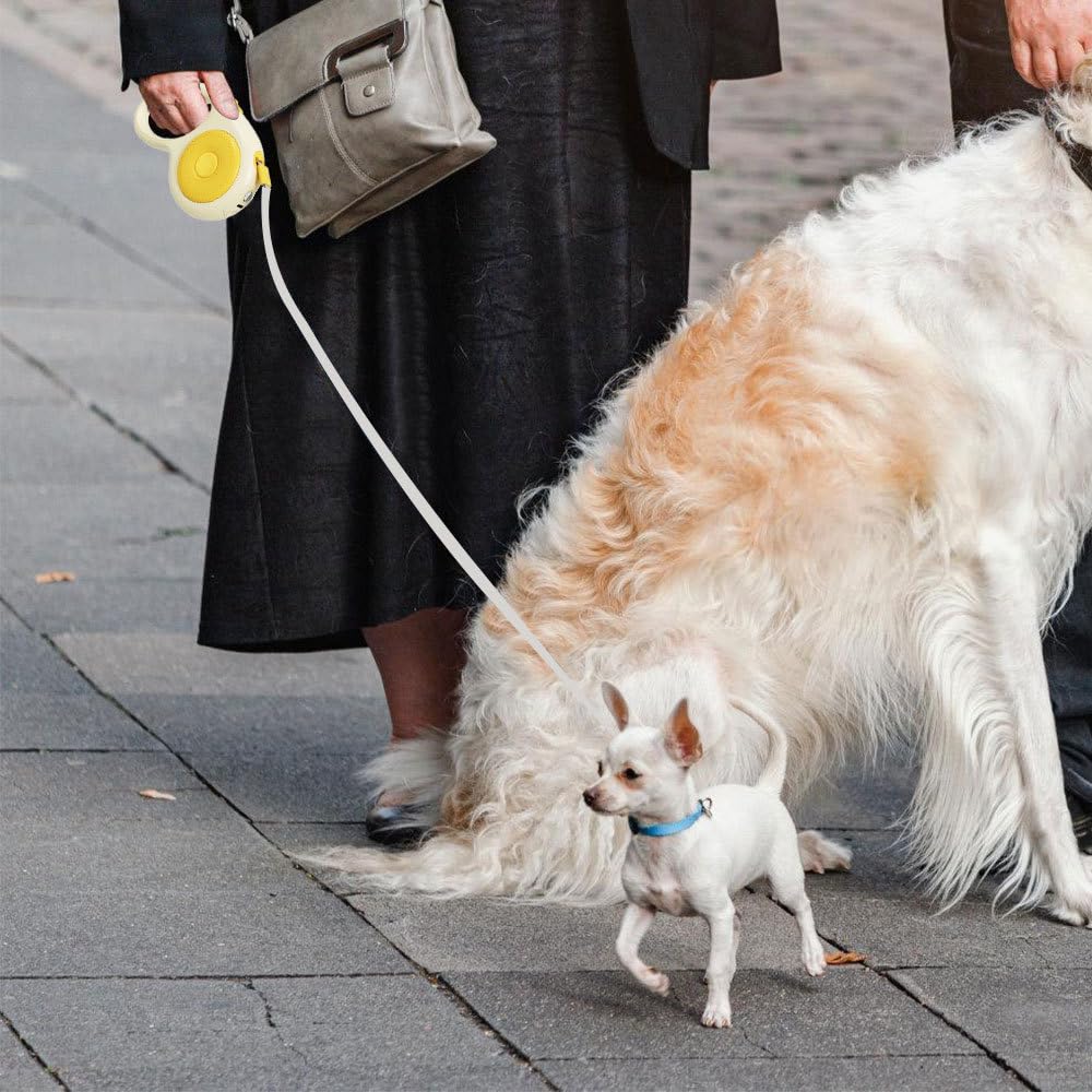 Einziehbare Hundeleine, 5m, Robuste Hundeleine aus Nylon mit LED-Licht, 360° Verwicklungssicher, Ausziehbare Haustier Leine für Kleine und Mittelgroße Hunde Bis zu 50kg
