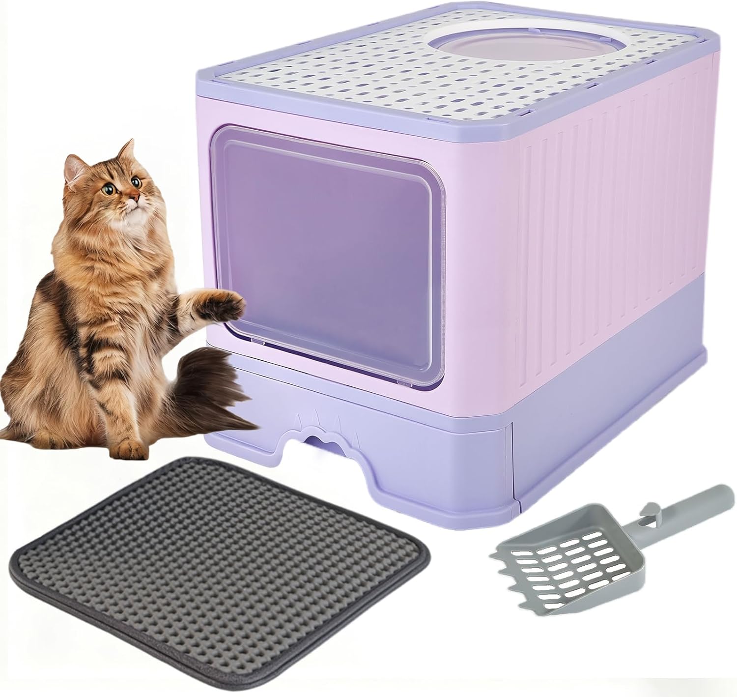 Cat Litter Box with Scoop, Large Foldable Litter Box with Lid, Front Entry Top Exit Kitty Box, Odor Control, Easy to Clean (Purple)
