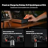 Fosi Audio V3 Mono Amplificatore Audio HiFi, Mini Amplificatore Monoblocco, Classe D TPA3255, 240W per Home Theater AVR Ricevitore Component, Ingressi Bilanciati RCA/XLR, Diffusori, con 48V/5A Power - 5