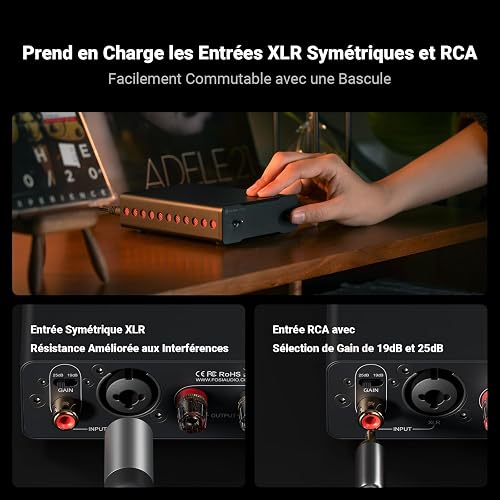 Fosi Audio V3 Mono Amplificatore Audio HiFi, Mini Amplificatore Monoblocco, Classe D TPA3255, 240W per Home Theater AVR Ricevitore Component, Ingressi Bilanciati RCA/XLR, Diffusori, con 48V/5A Power - 5