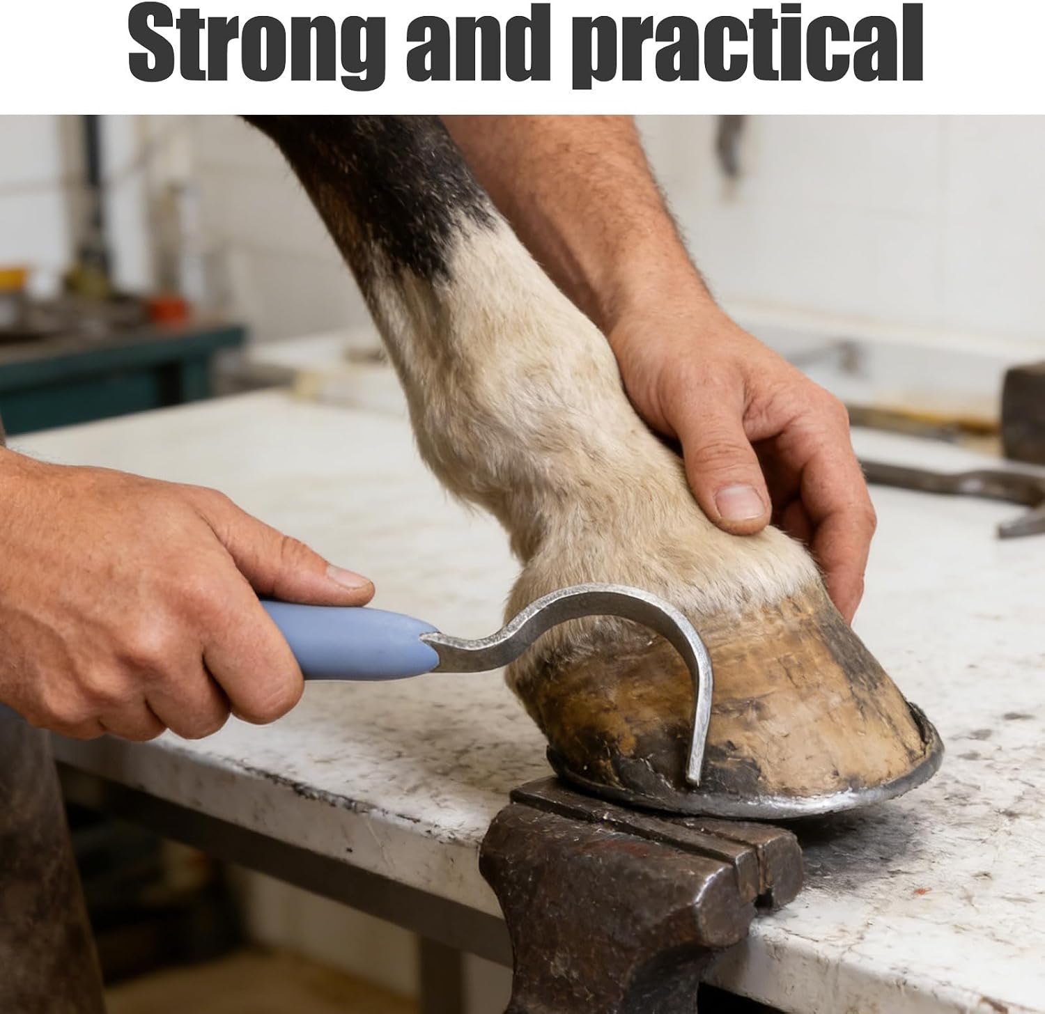 NUOBESTY Horse Hoof Pick Tool Hoof Cleaning Tool with Non-Slip TPR Handle and Metal Filer, Easy Hanging Design Sturdy Aps Material for Horse Stable Grooming and Animal Care